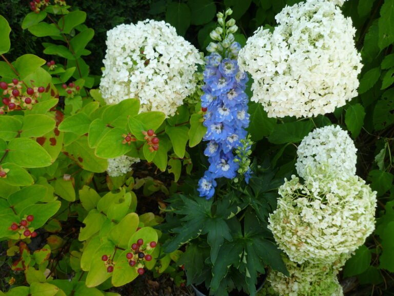 bloemen in cottagetuin