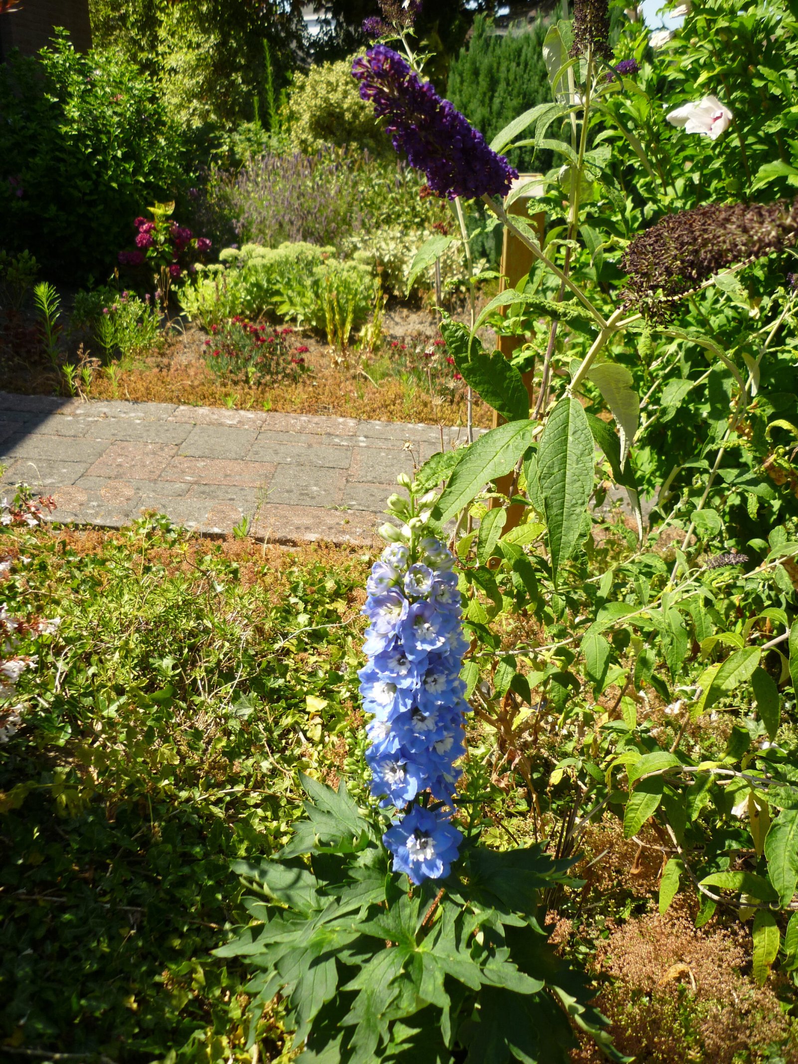 Voortuin